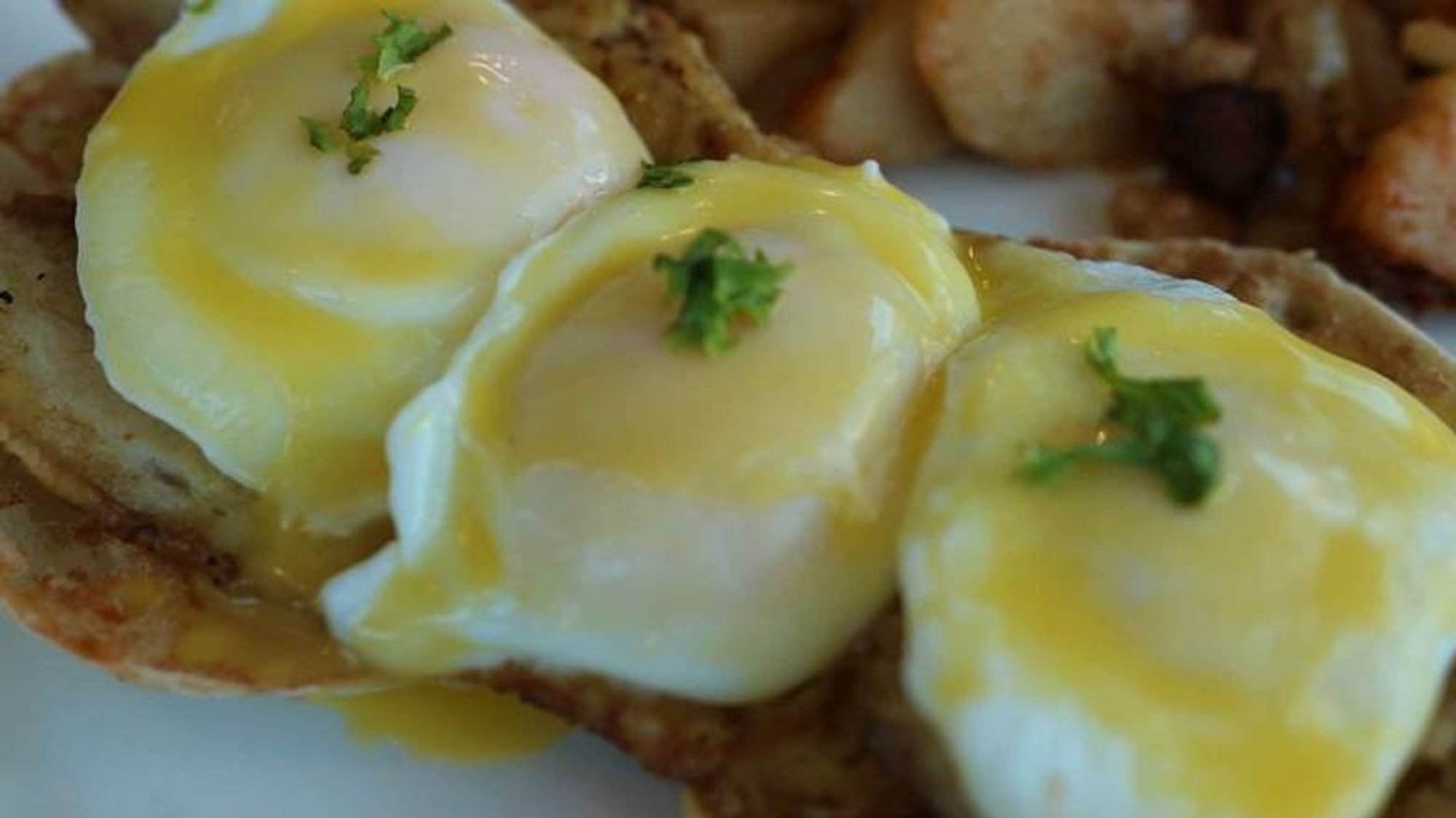 Athenian Eggs Benedict