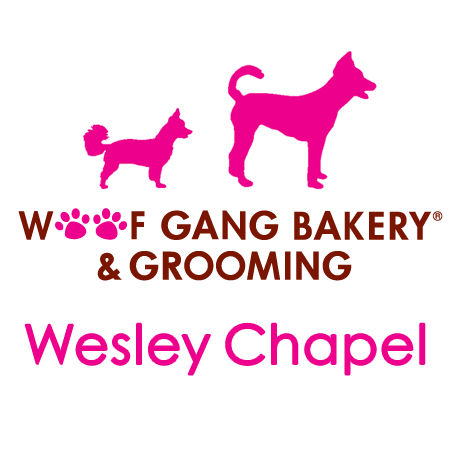 Woof Gang Bakery & Grooming Wesley Chapel