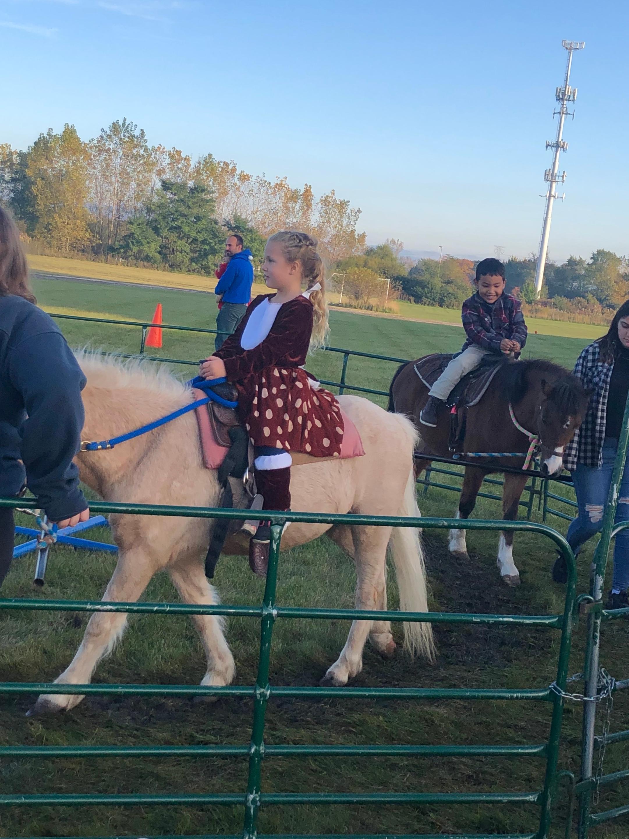 Christ Church Crossroads Image