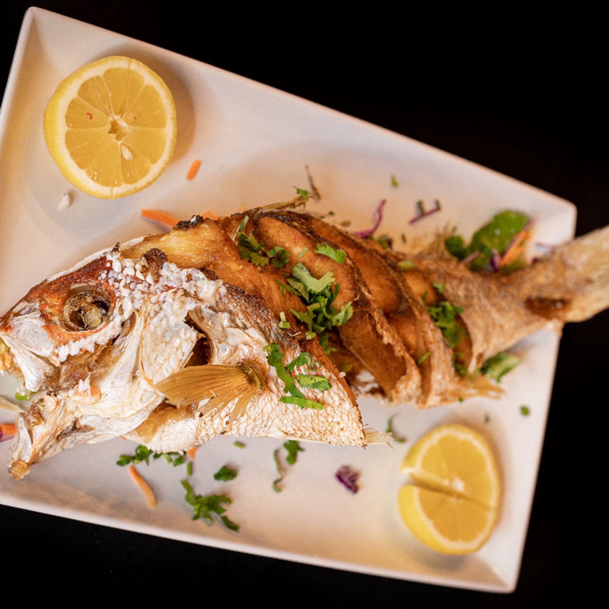 Red Snapper