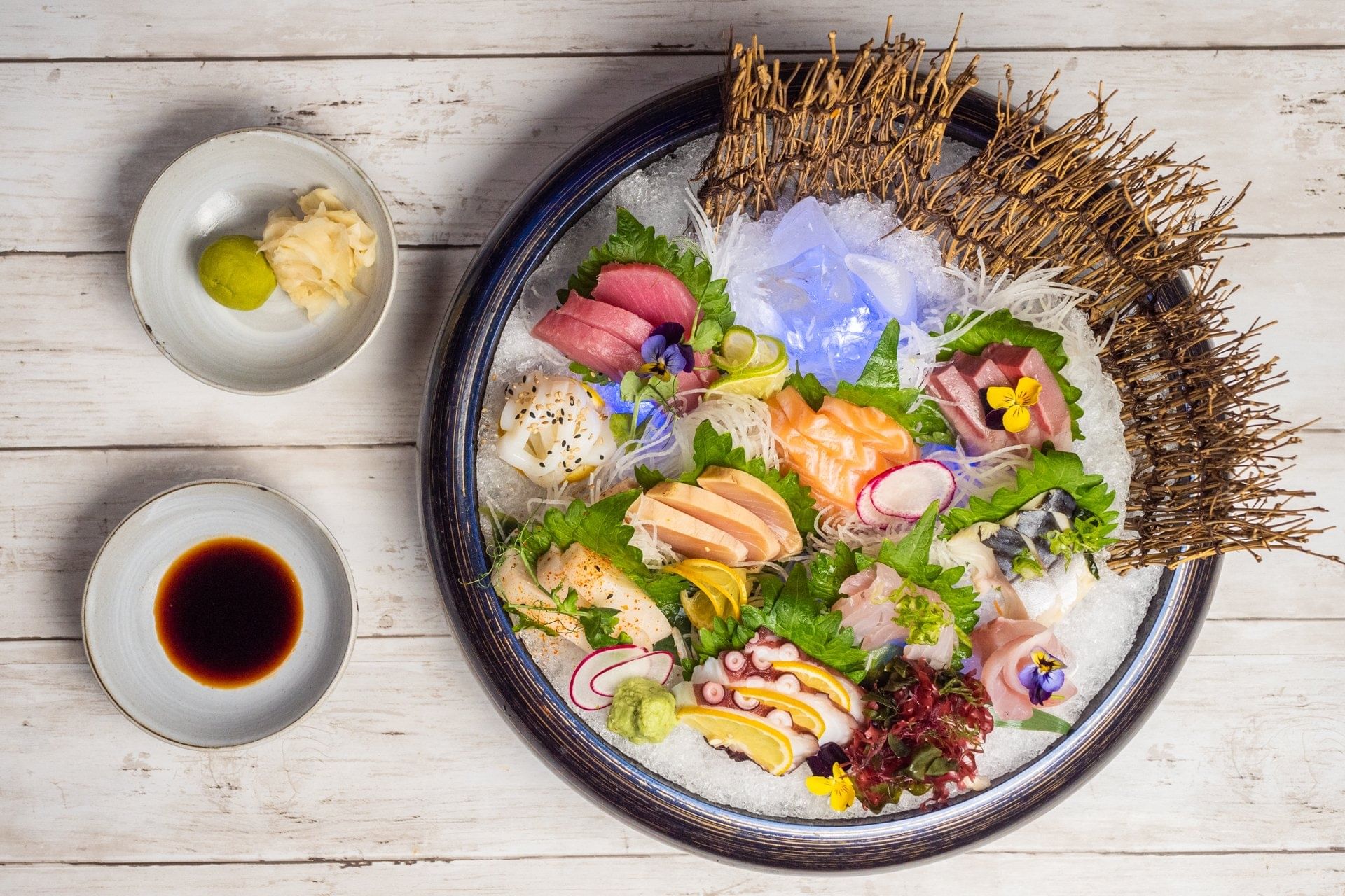 10 Kinds of Fish