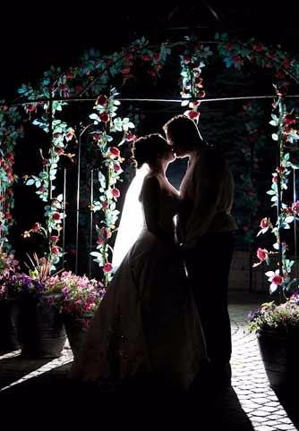 Tina's Country House &amp; Gardens Logo