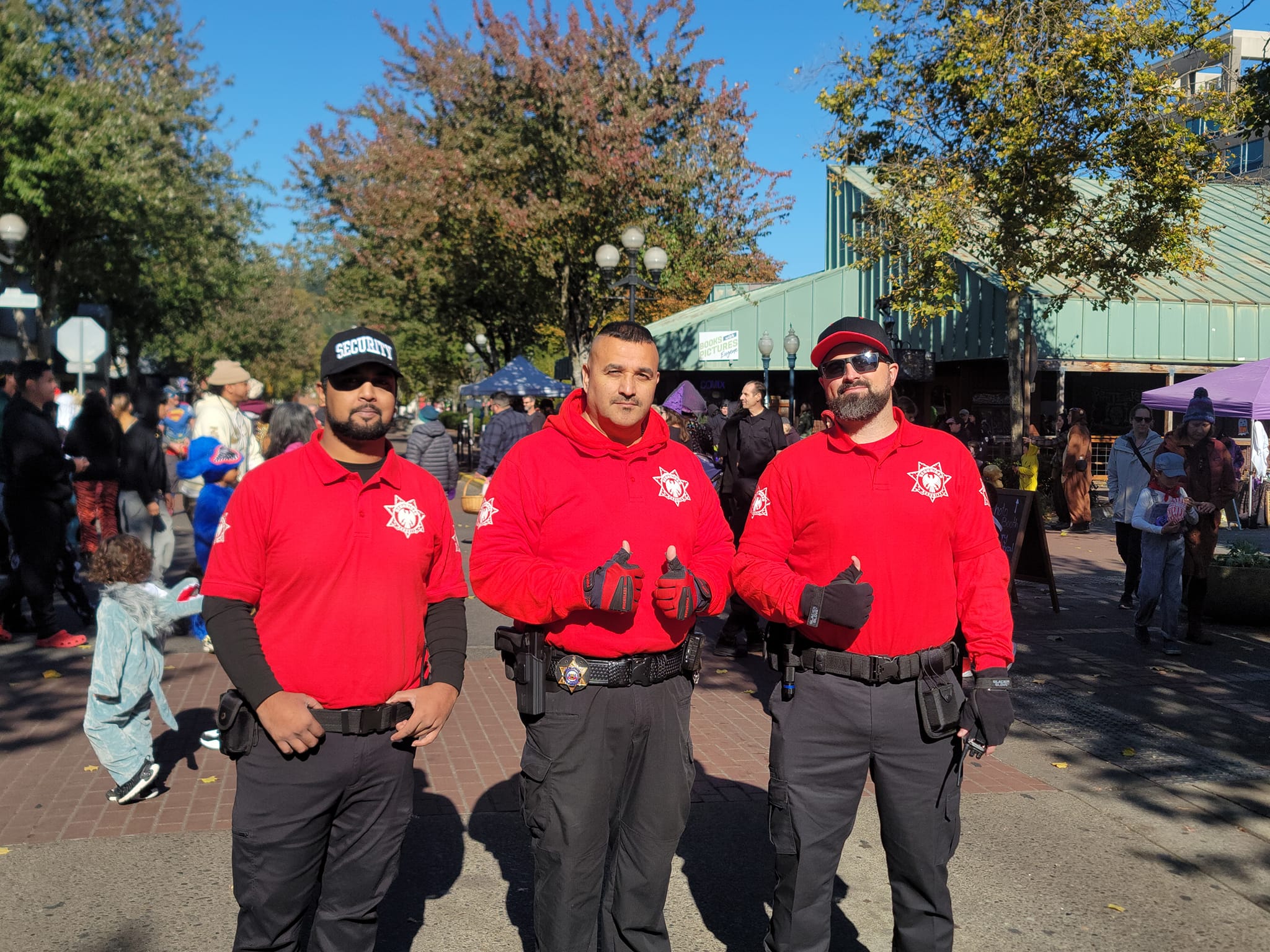 Seguridad Security Image