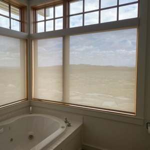 Roller shades offer a modern, sleek look compared to other window treatments.