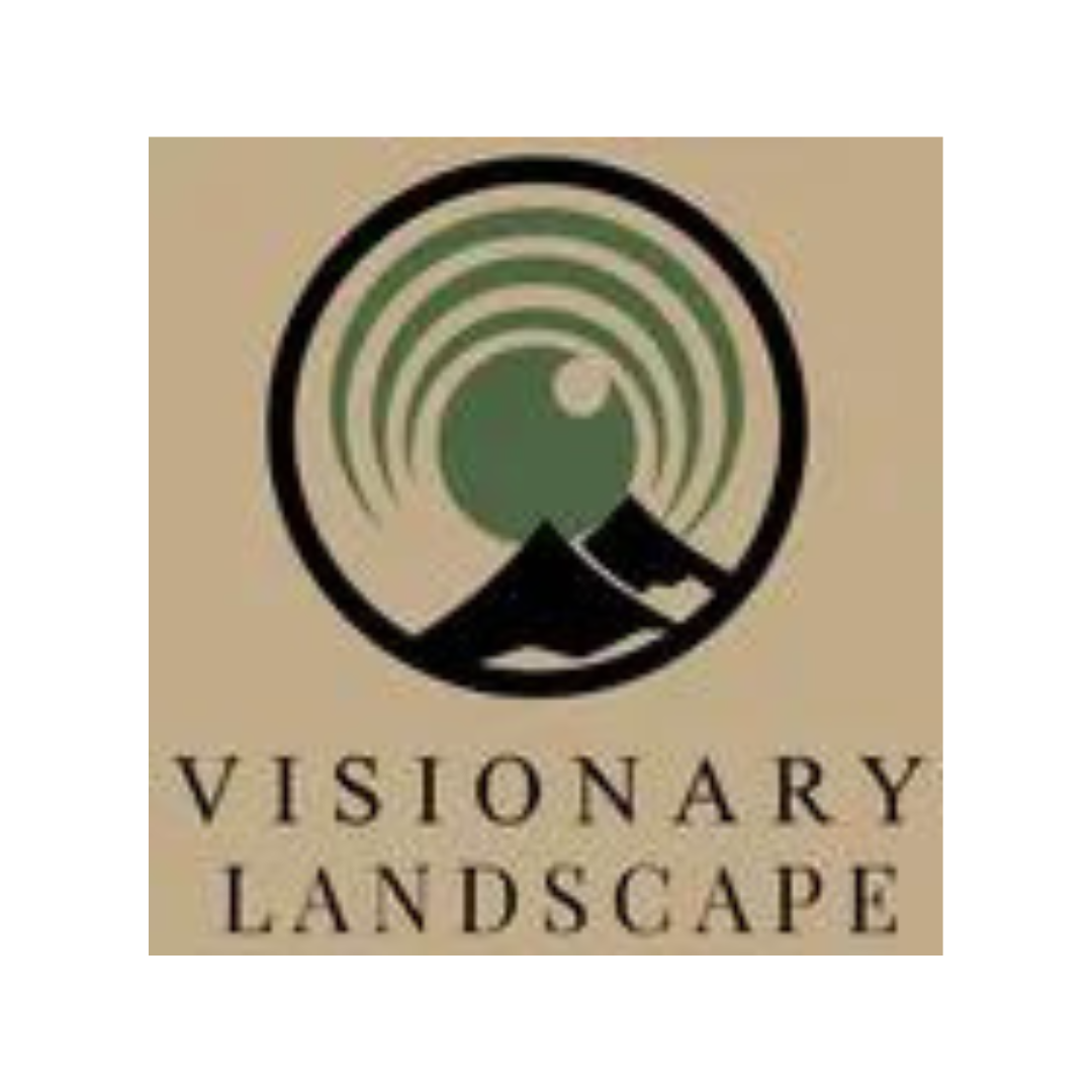 Visionary Landscape