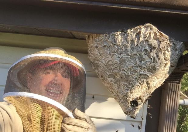 Images The Bee Man