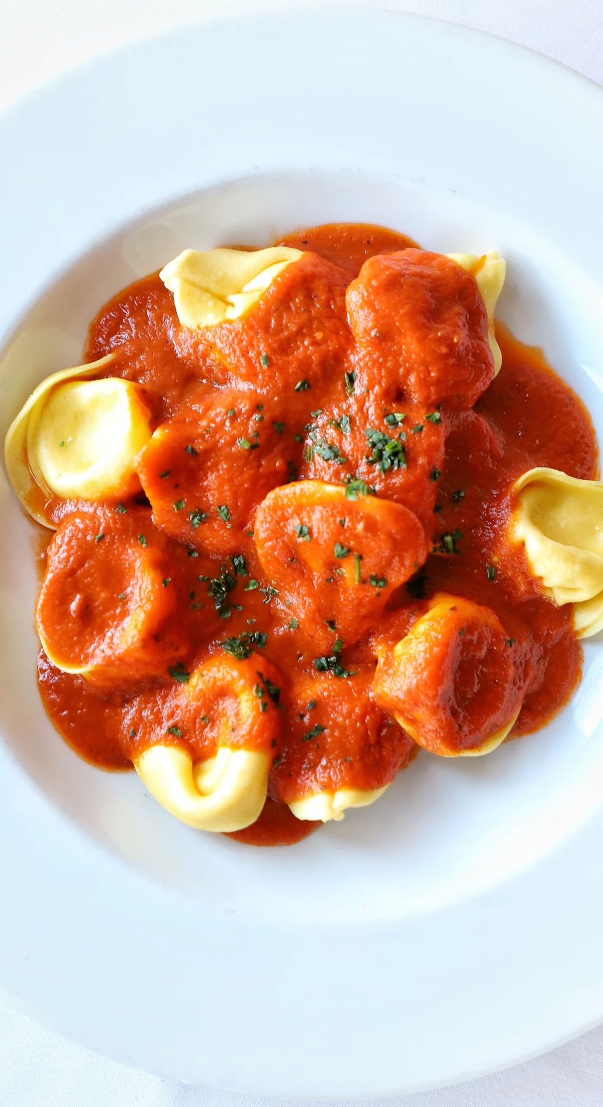 Cheese Tortelloni