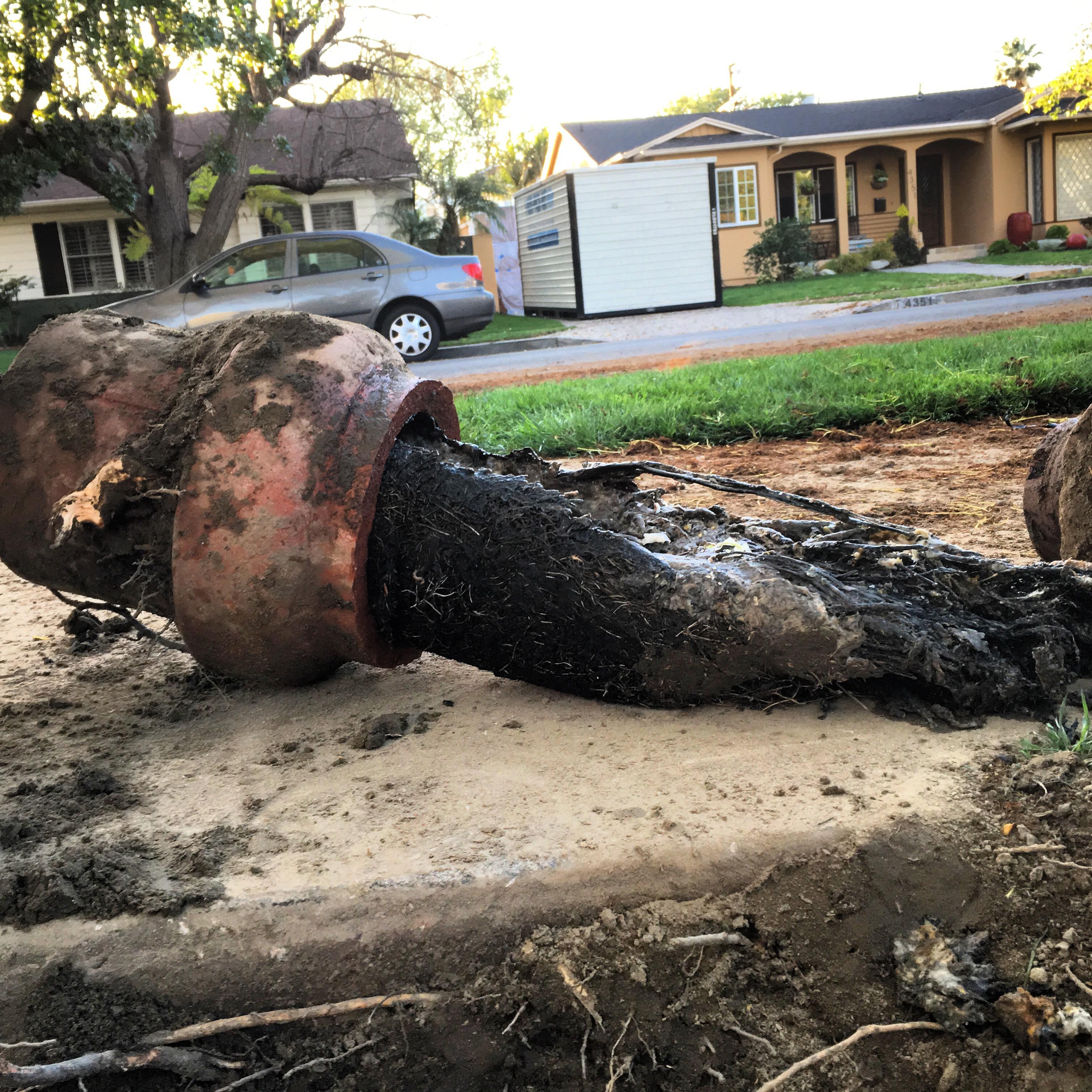 After snaking sewer residential sewer line we conducted a camera inspection and found that roots had grown inside the sewer line because the sewer was broken. Which later it led to a complete sewer trenchless replacement.