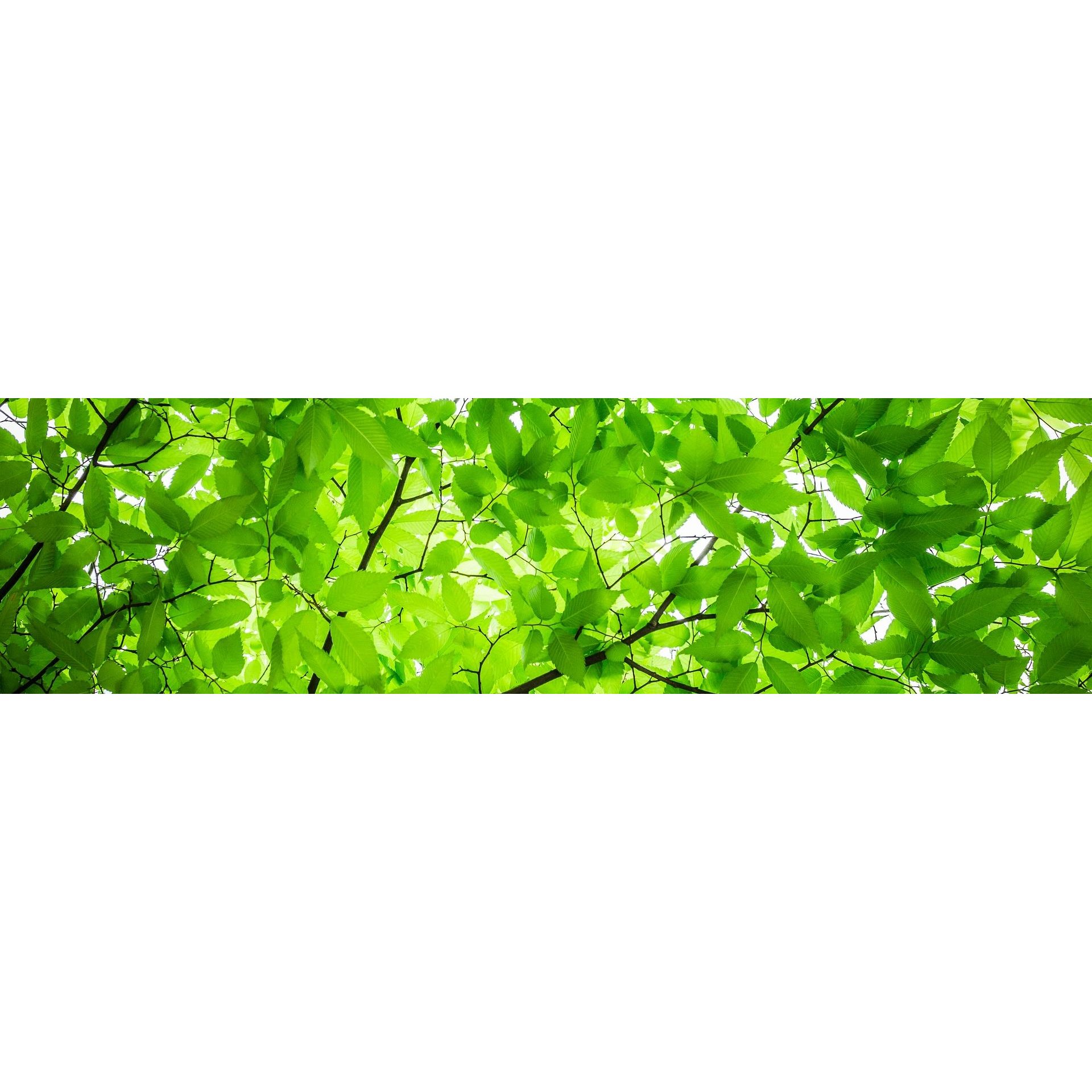 Laramie Lawnery, LLC