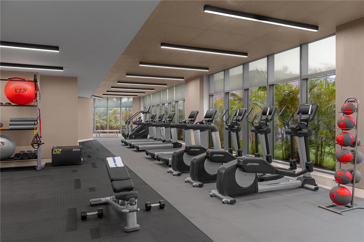 Galería en miniatura