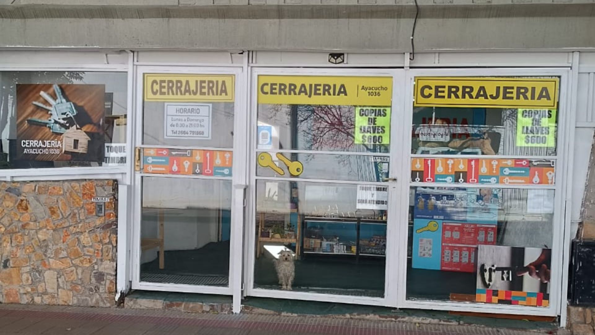 Galería en miniatura
