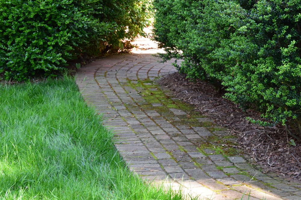 Window Hero Charlotte Image