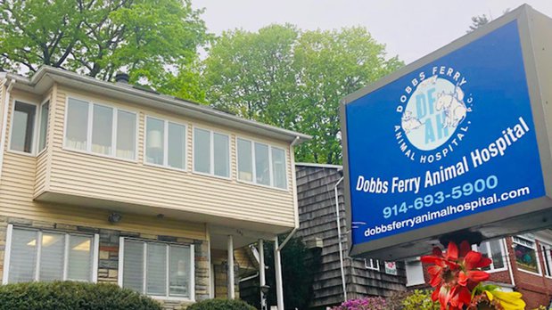 Images Dobbs Ferry Animal Hospital. P.C.