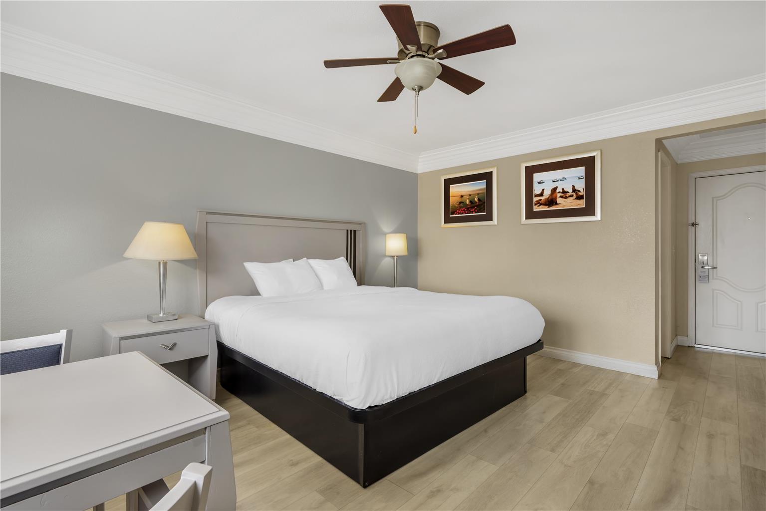 Best Western Tradewinds Image