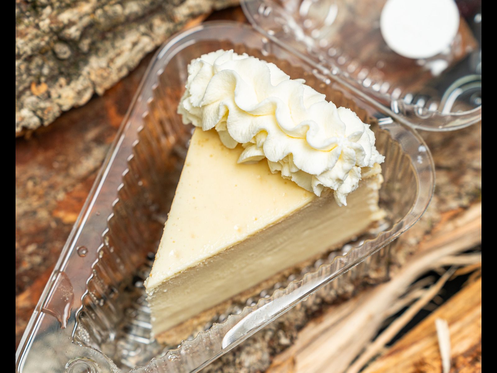 Cheesecake Slice