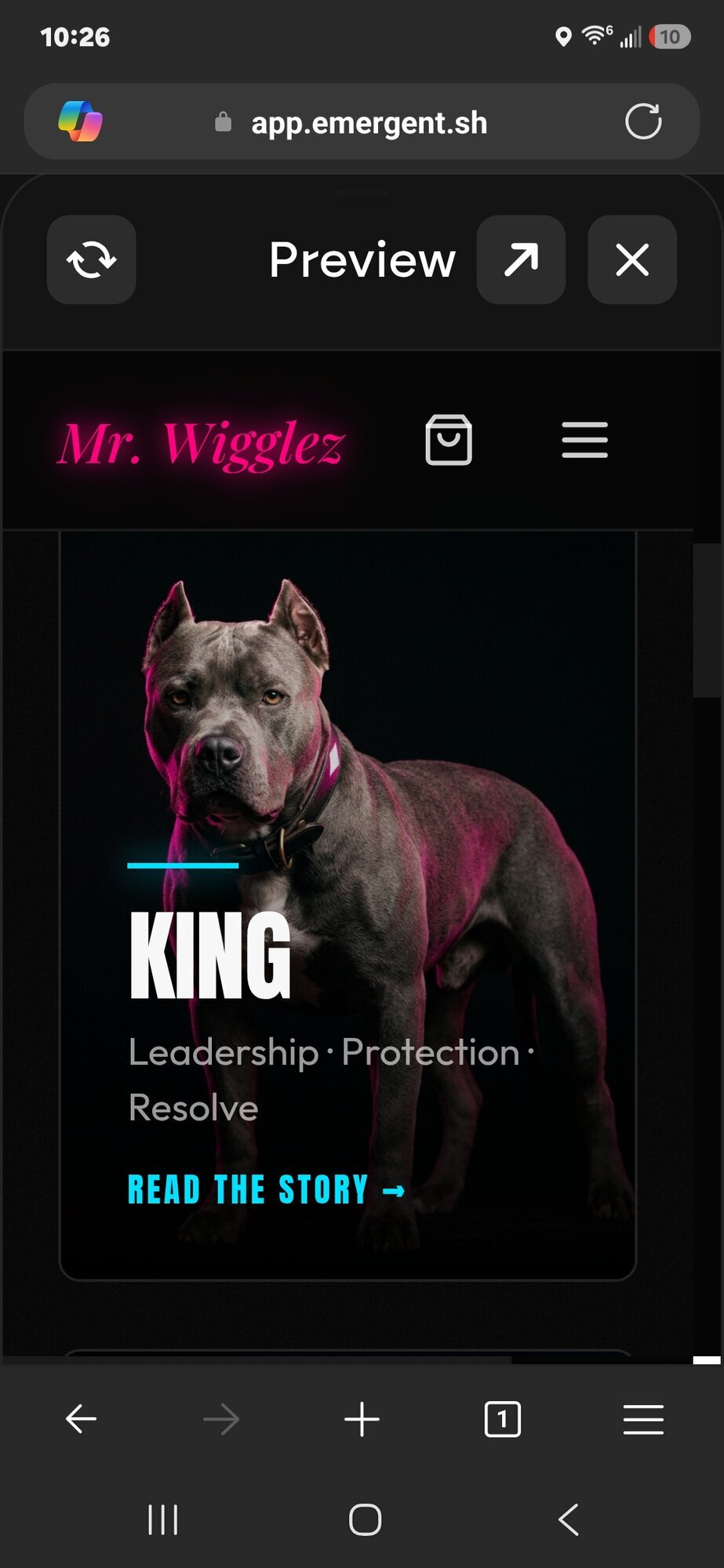 Gallery thumbnail