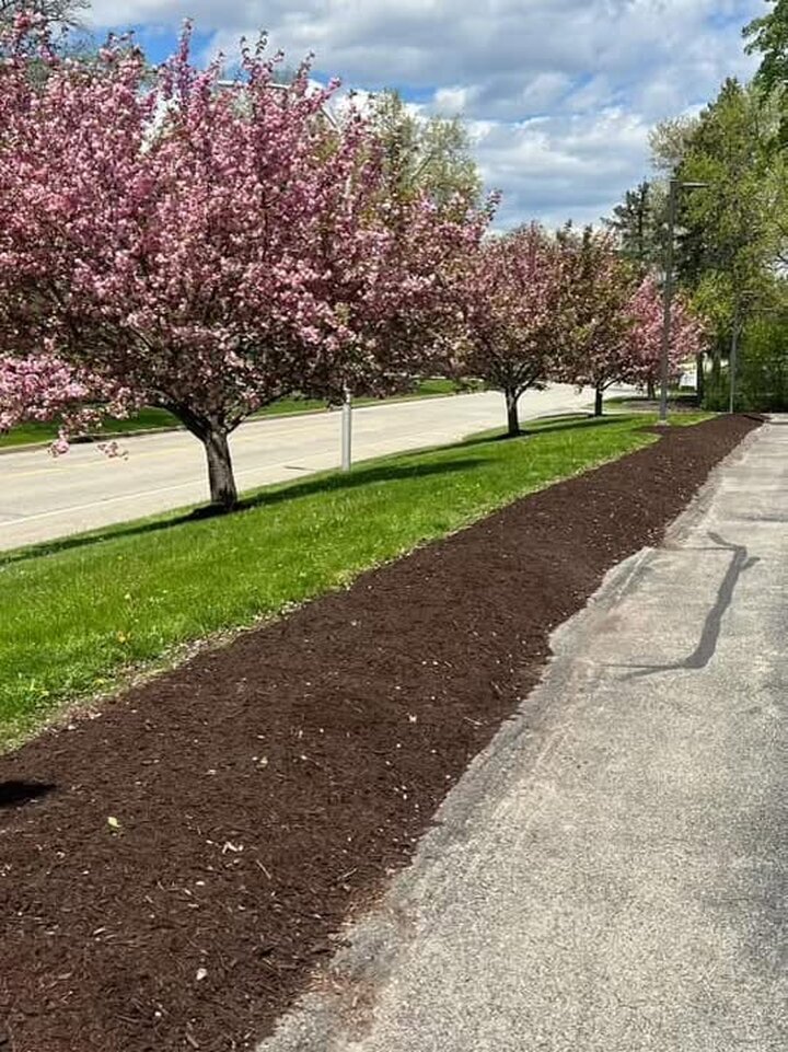 Gabriel Landscaping Image