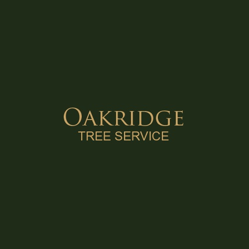 Oakridge Tree Service, LLC