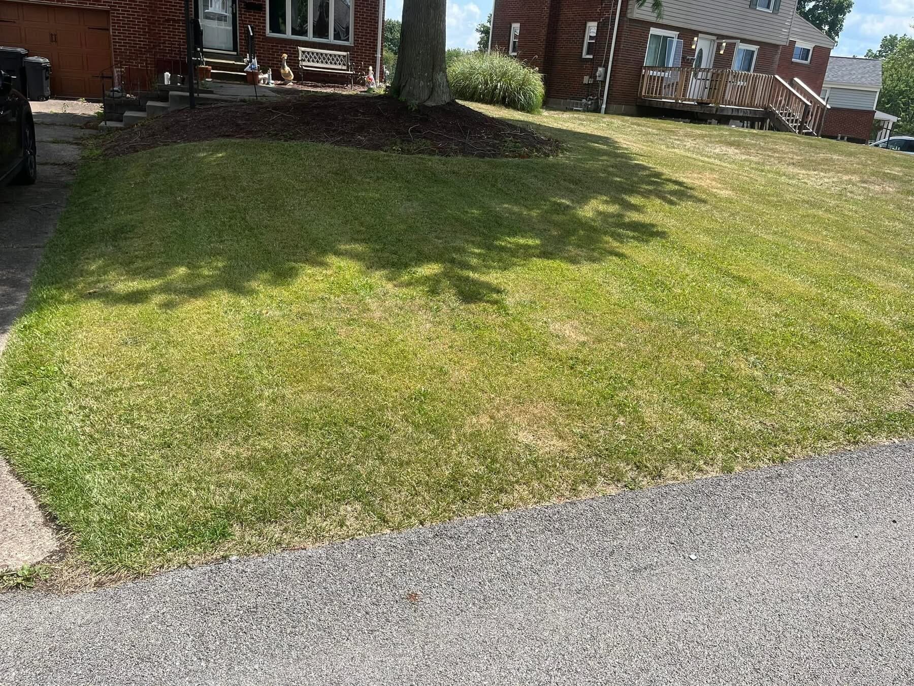 Gabriel Landscaping Image