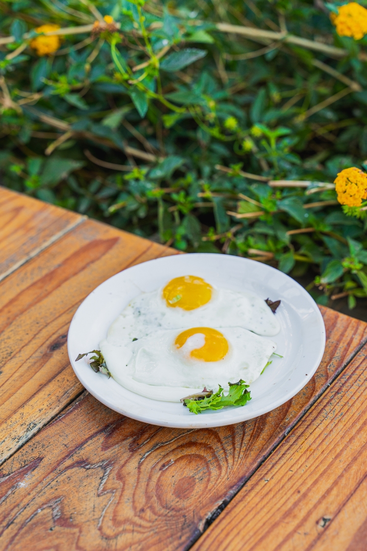 SIDE 2 EGGS