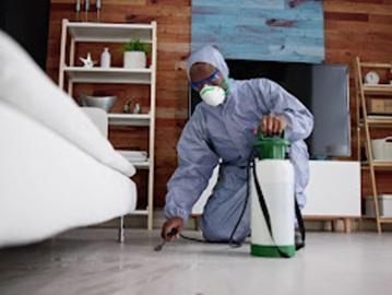 Federation Pest Control Image