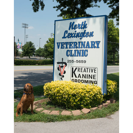 North Lexington Veterinary Clinic Photo