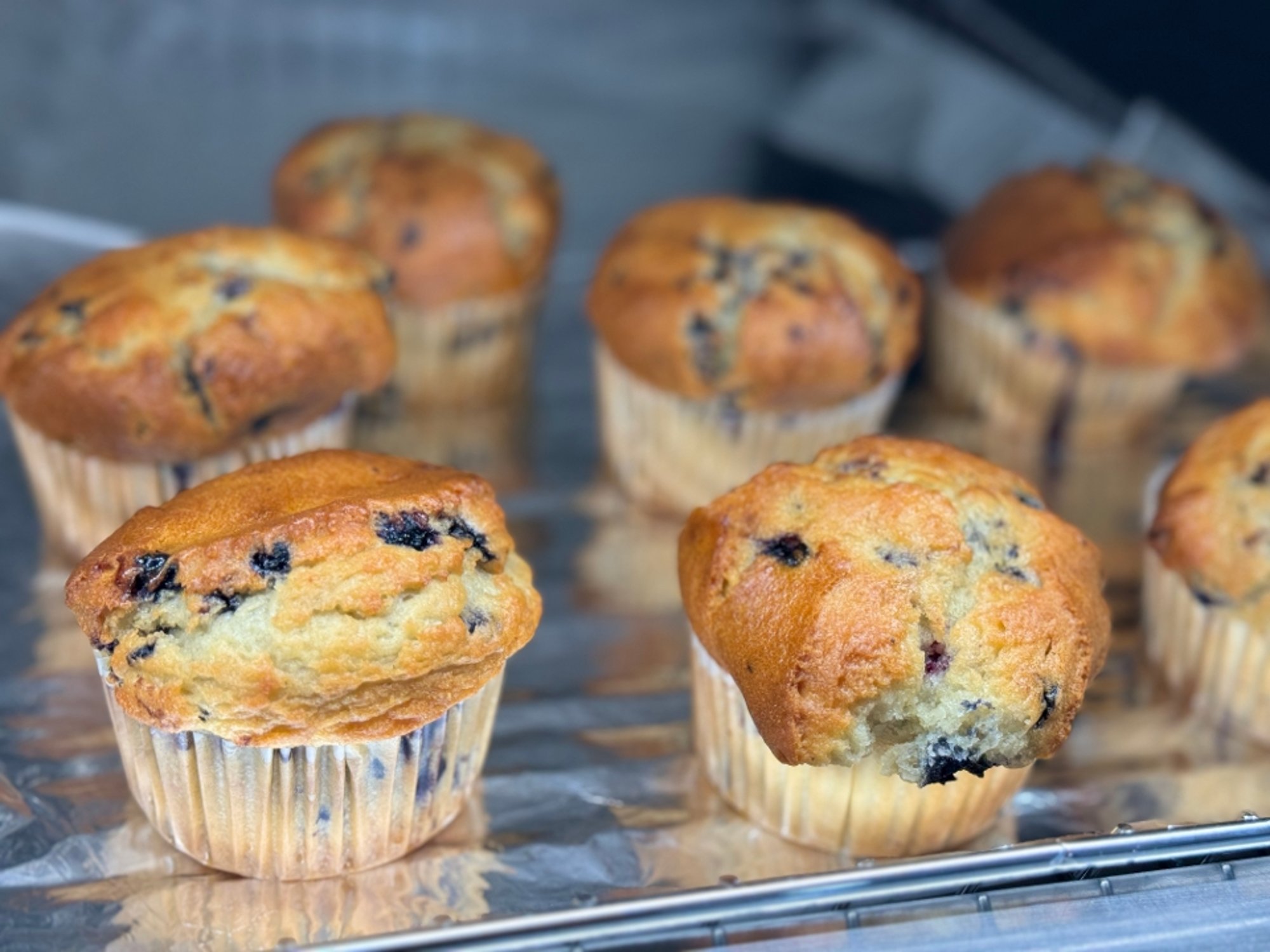 Blueberry Muffin