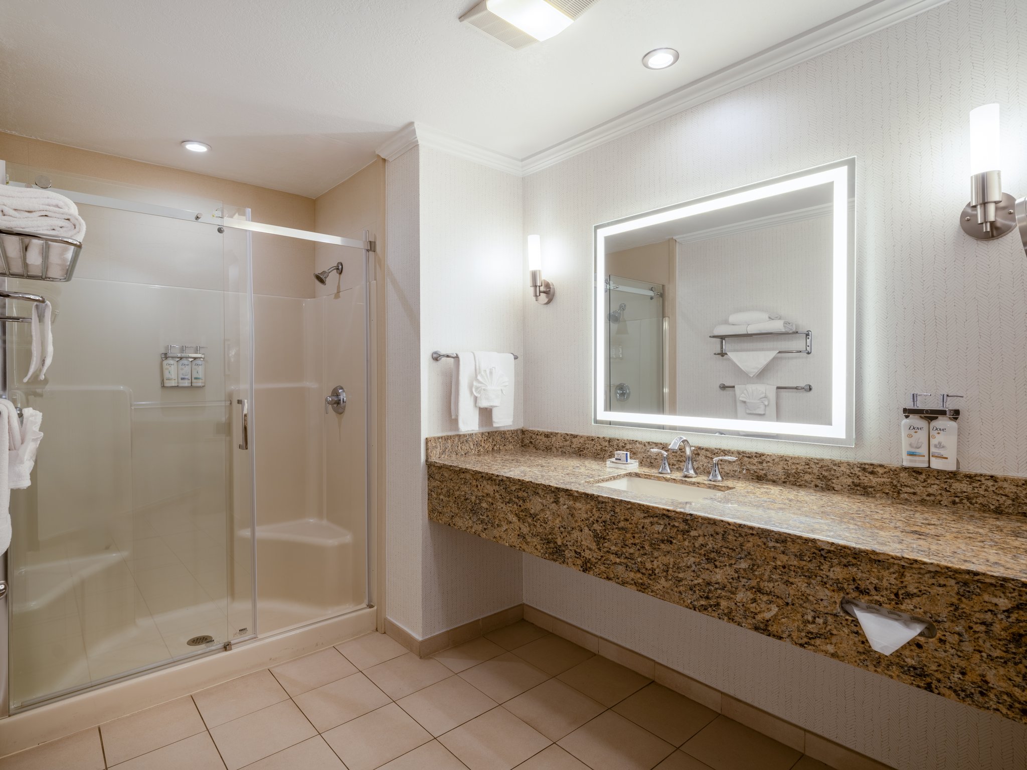 Holiday Inn & Suites Chicago Northwest - Elgin by IHG Image