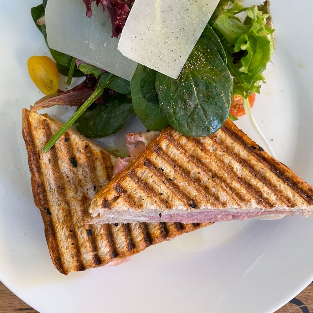 Grilled Panini with Ham and Provolone Cheese