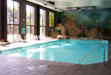 Advanced Pool Services, Inc. Photo
