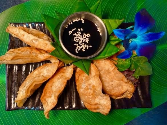 Gyoza