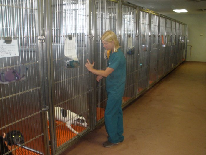 VCA Briarcliff Animal Hospital Photo