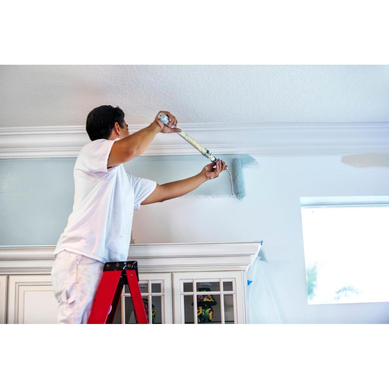 Will & Les' Interior & Exterior Painting