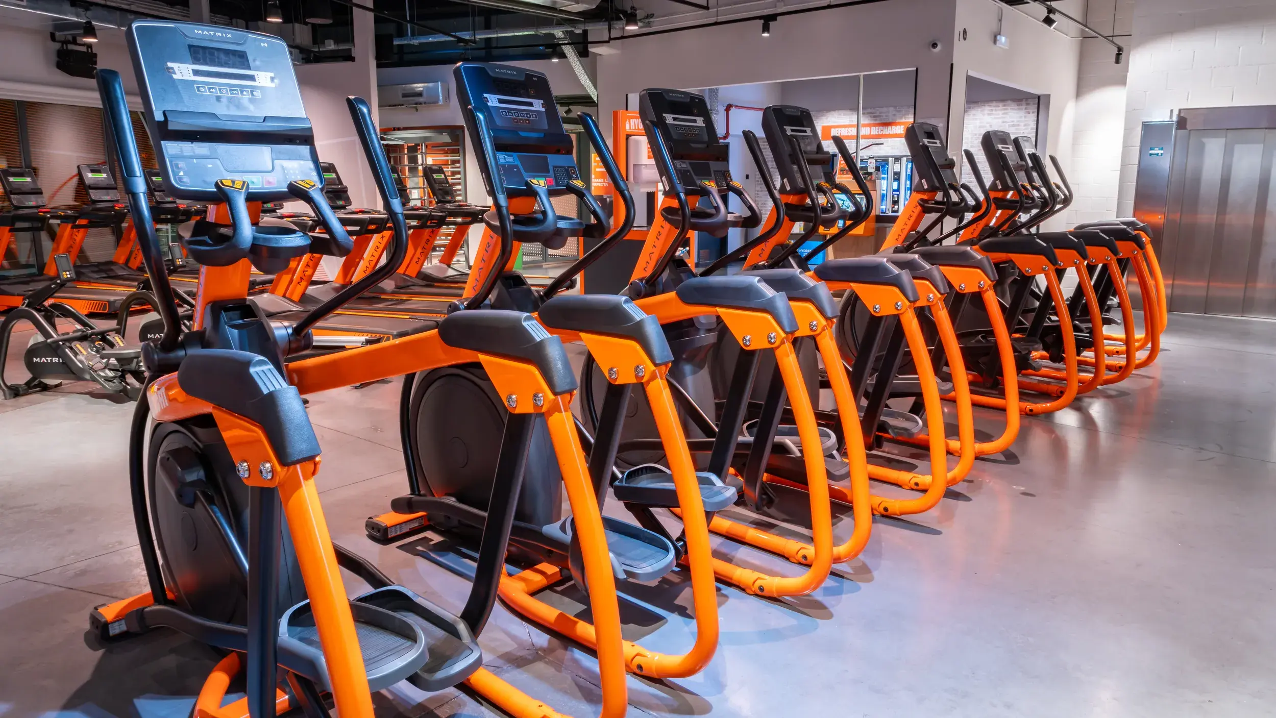 Galería en miniatura