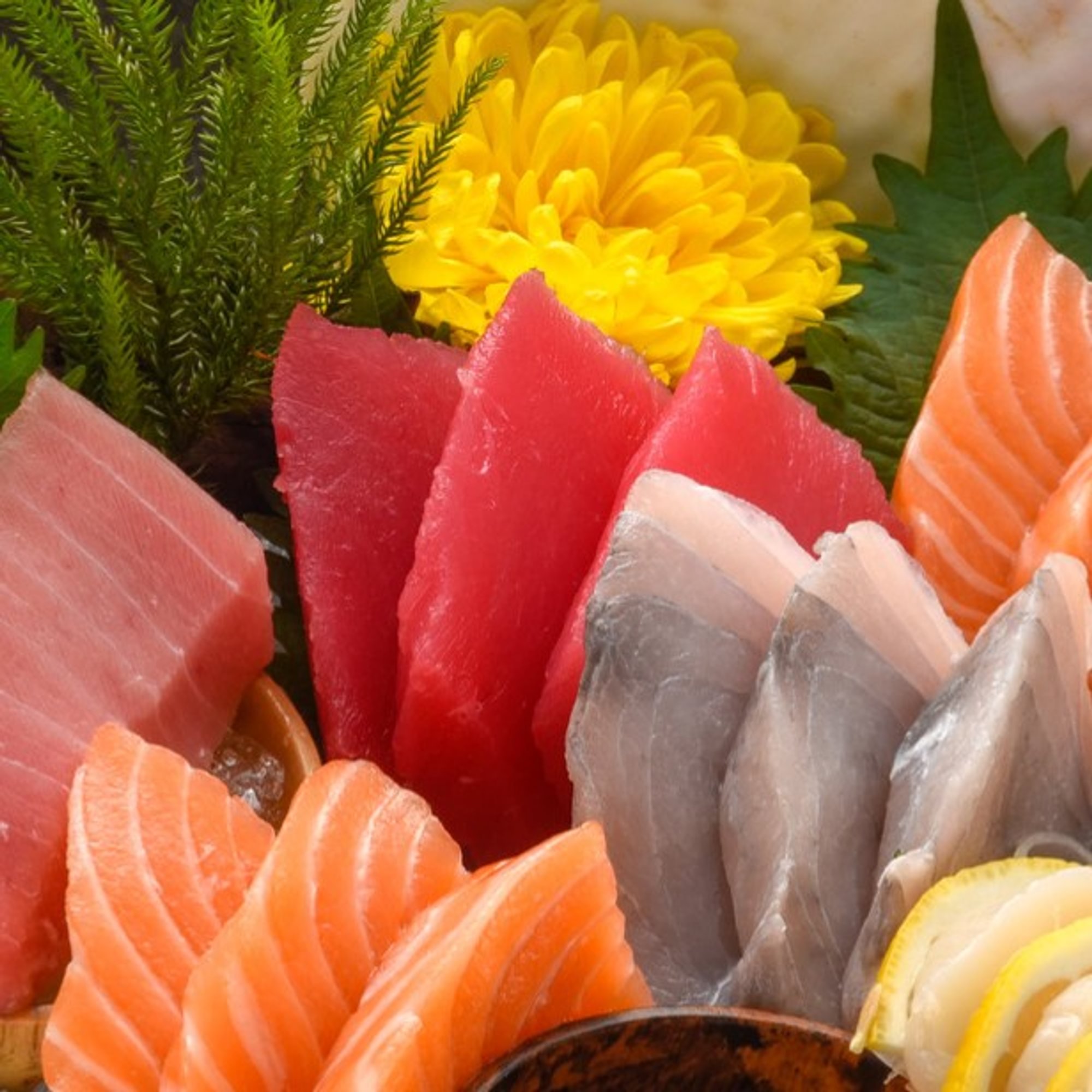 Kaisen Sashimi