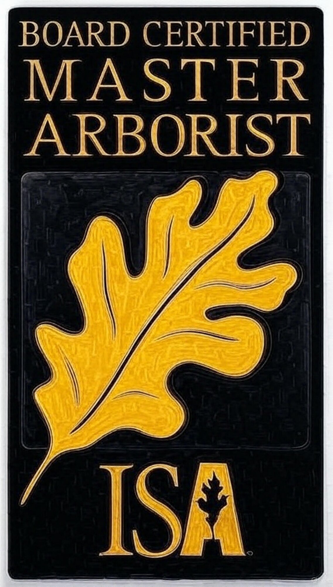 Brandon Tree Care Image