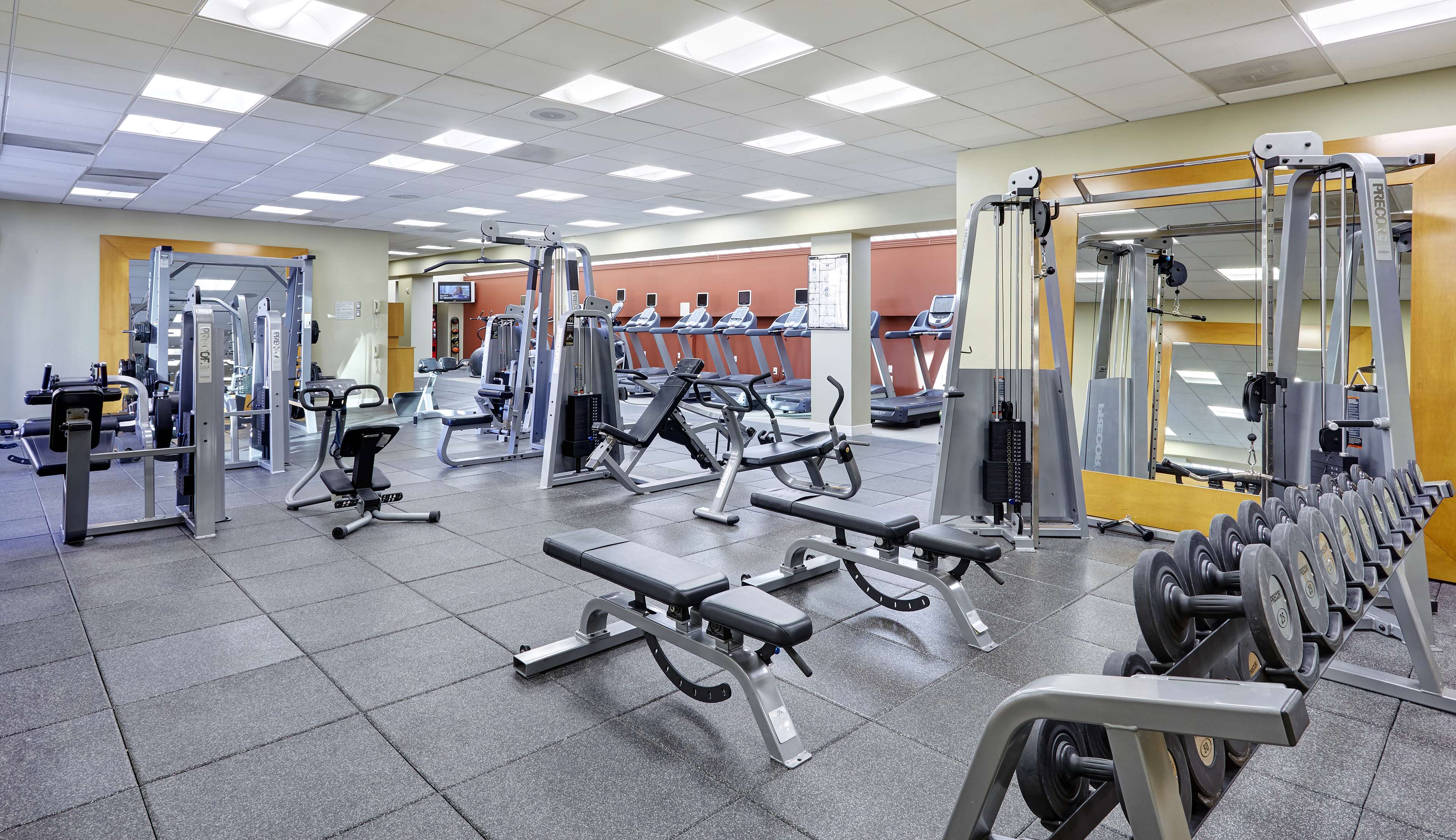 Health club  fitness center  gym