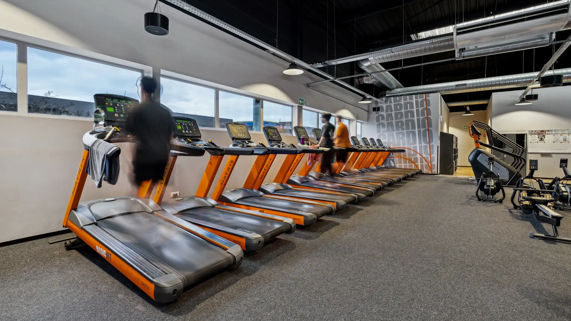 Miniature de la galerie