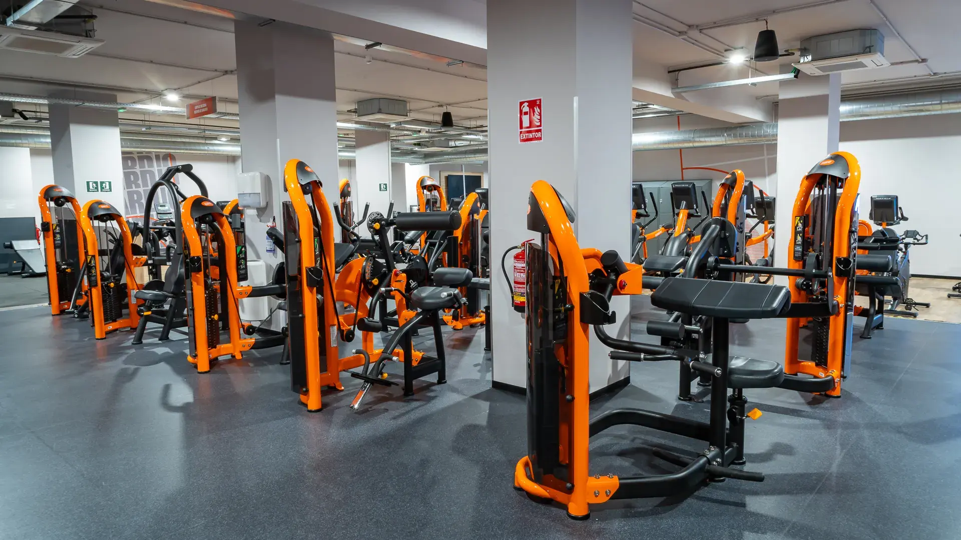 Galería en miniatura