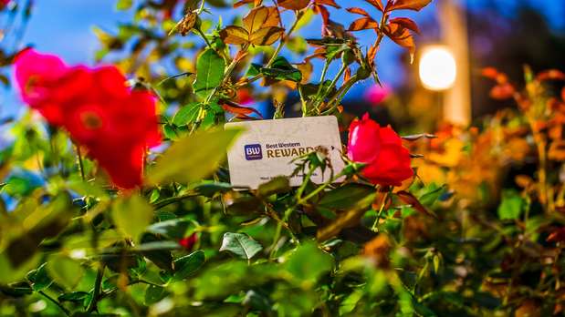 Images Best Western Plus River Escape Inn & Suites