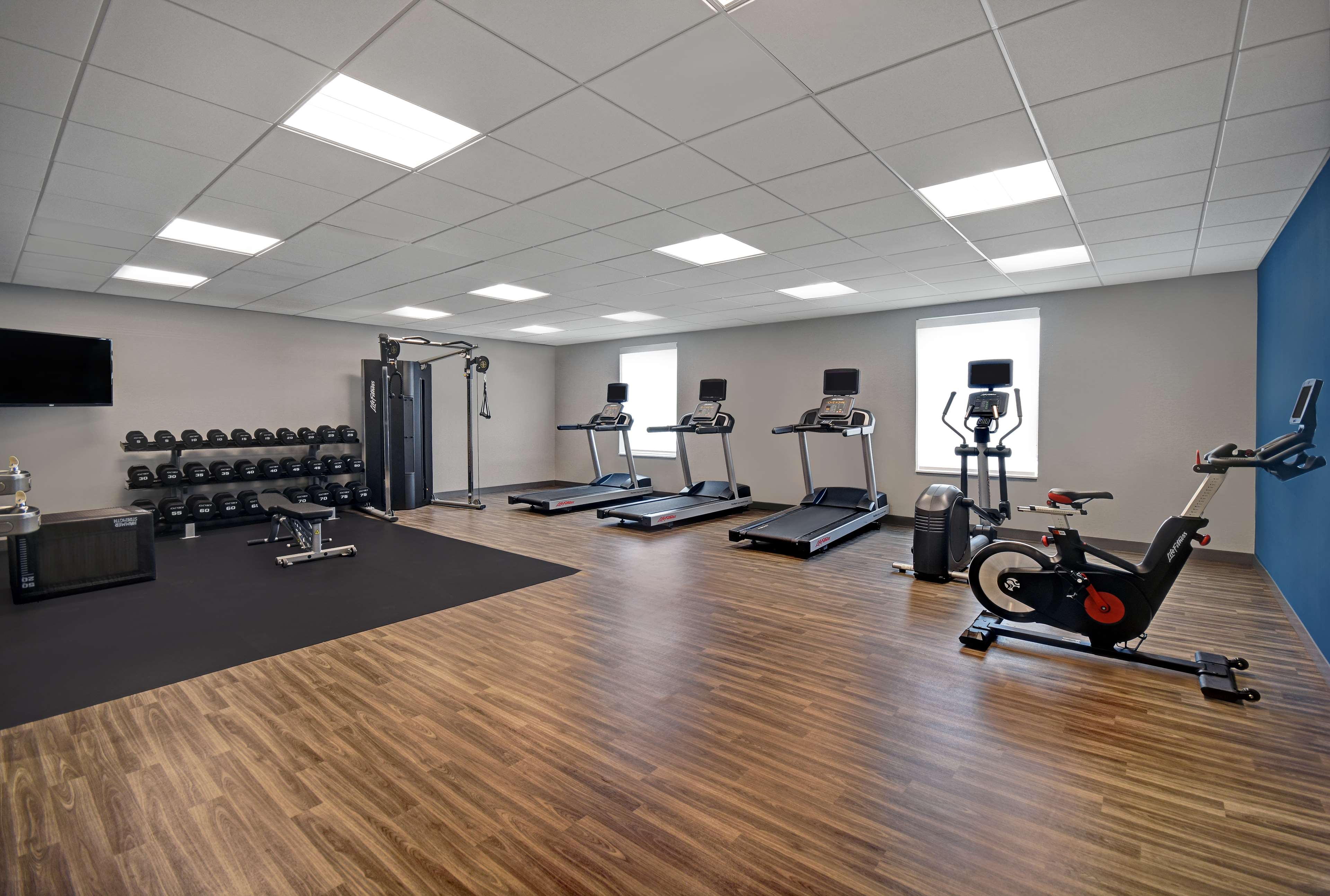 Health club  fitness center  gym