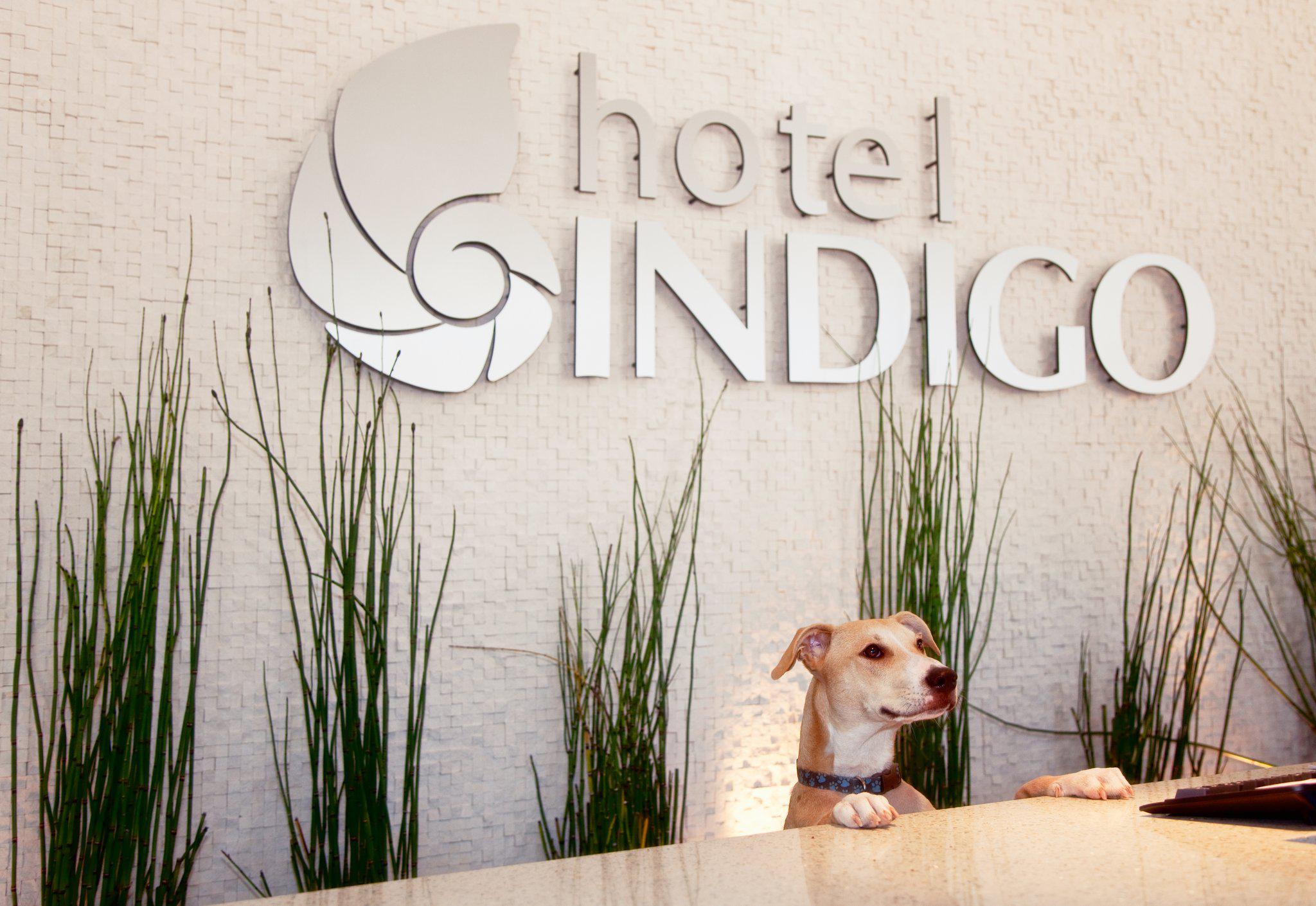 Hotel Indigo San Diego-Gaslamp Quarter Photo