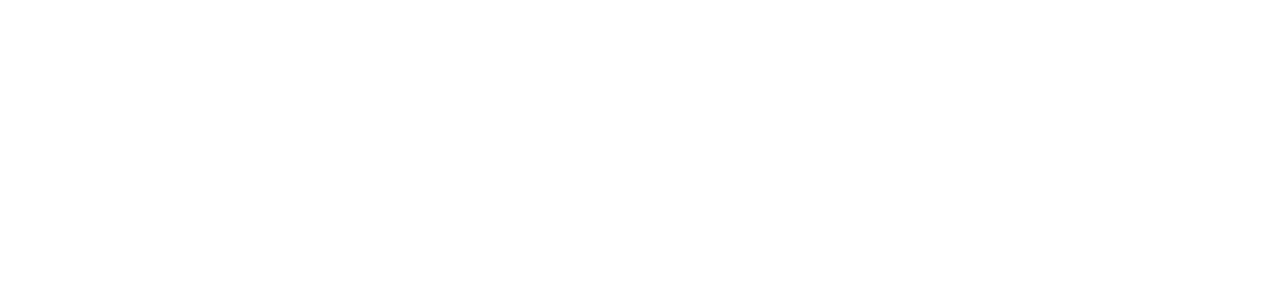 bluefrog of Central Connecticut footer logo