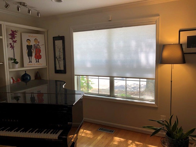 Light Filtering Top Down and Bottom Up Honeycomb shades