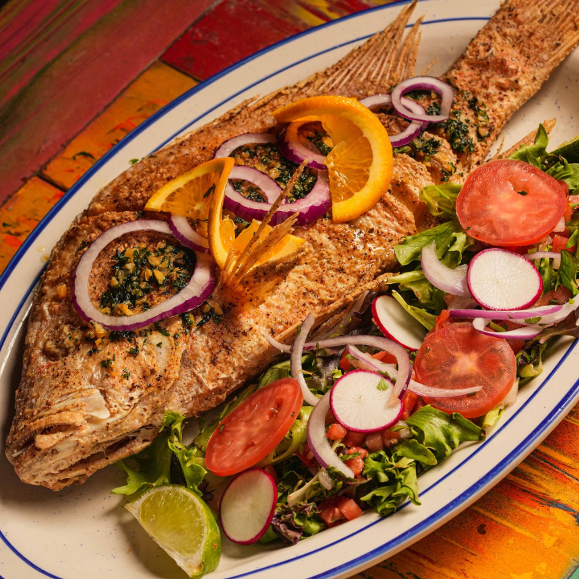 Red Snapper