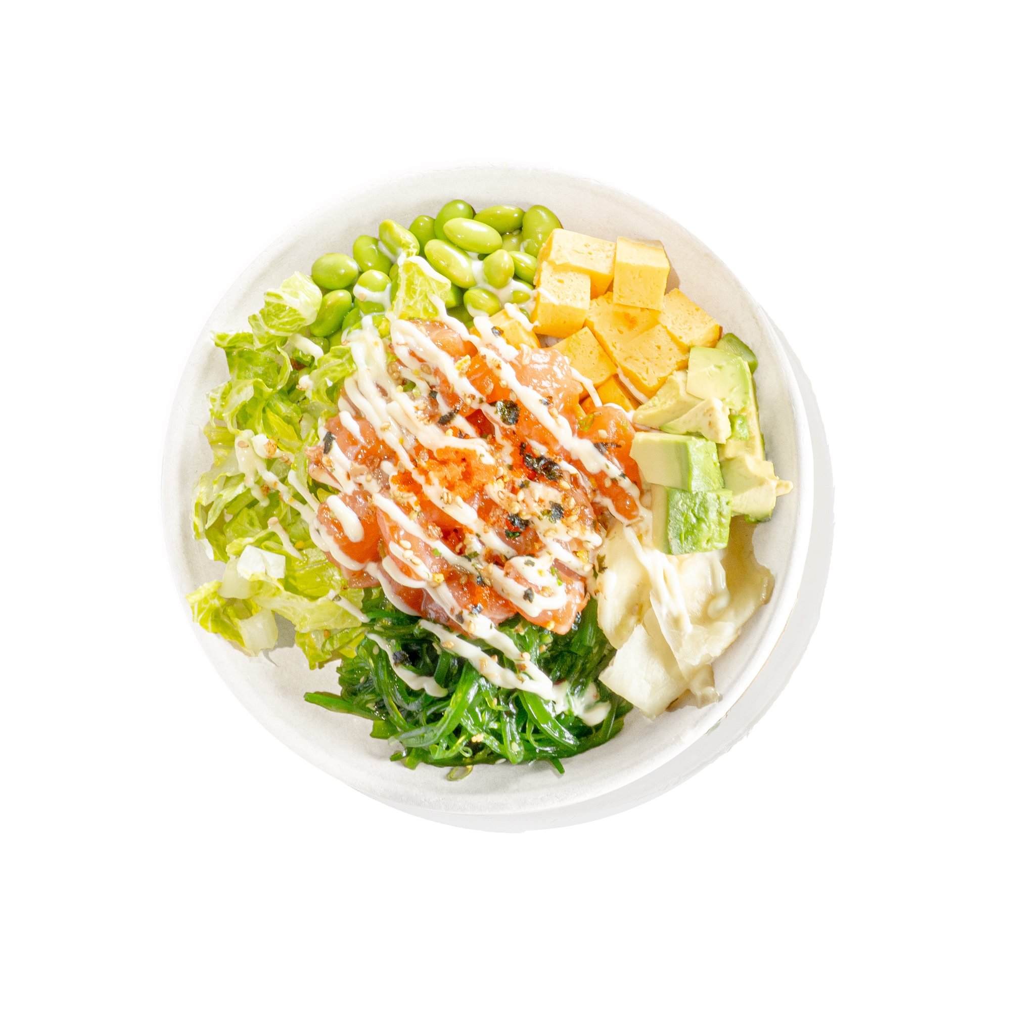 a20-waikiki wave bowl-raw fish