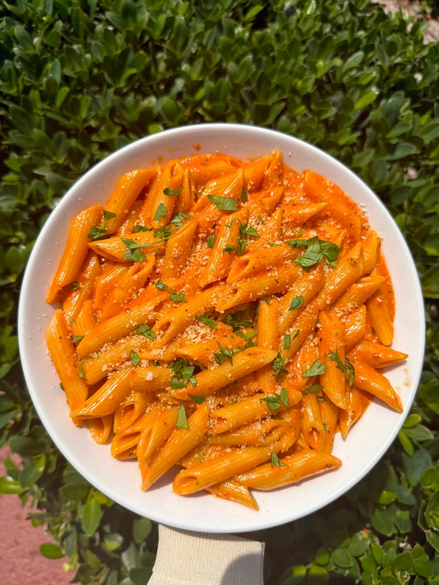 Penne alla Vodka