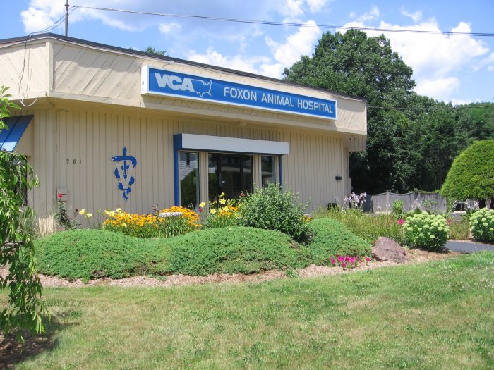 VCA Foxon Animal Hospital Photo