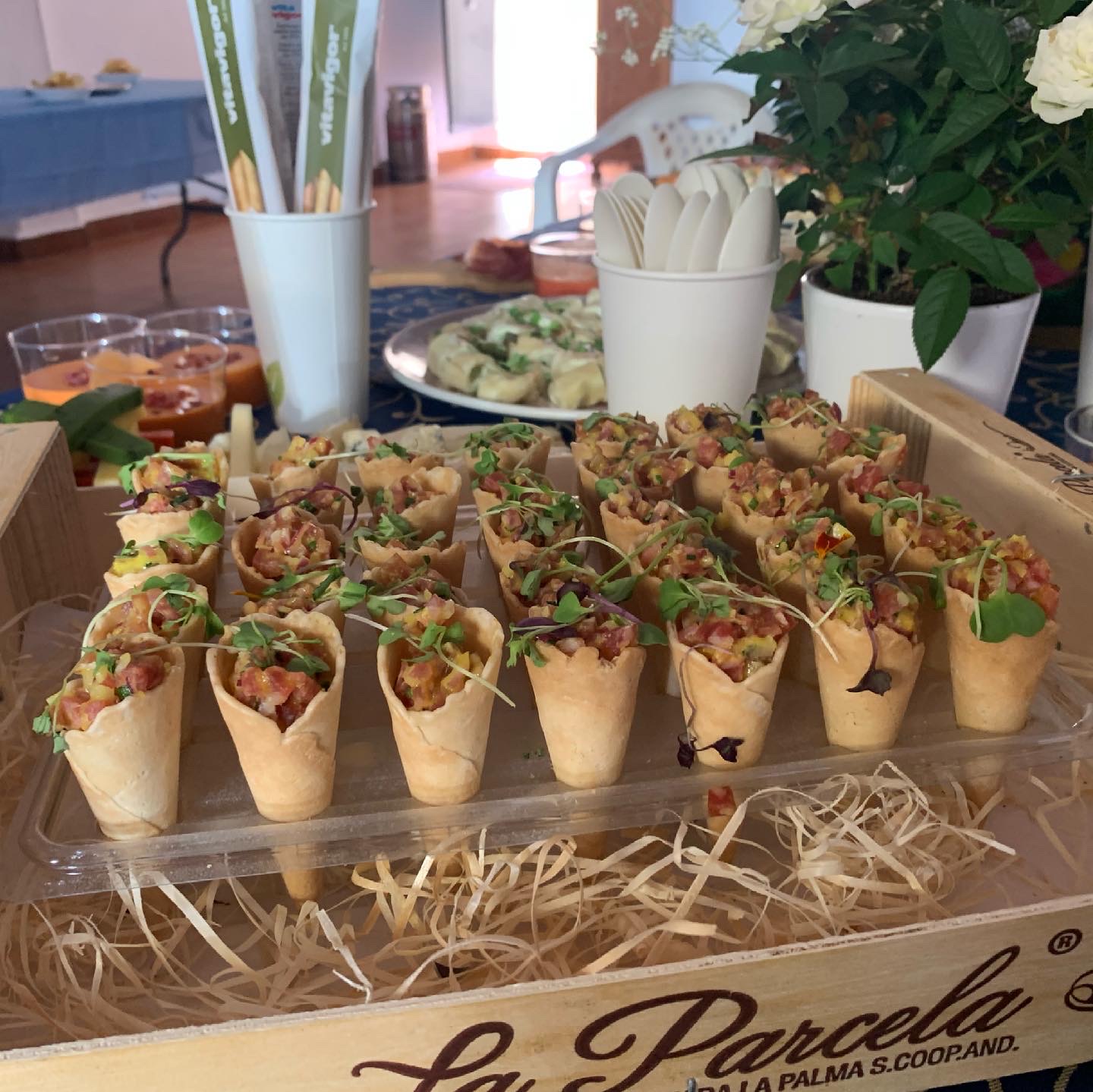 Galería en miniatura