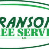 Branson's Tree Service Logo